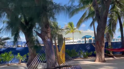 Oasis Lagoon Pool Bar ｜ Perfect Day at Coco Cay ｜