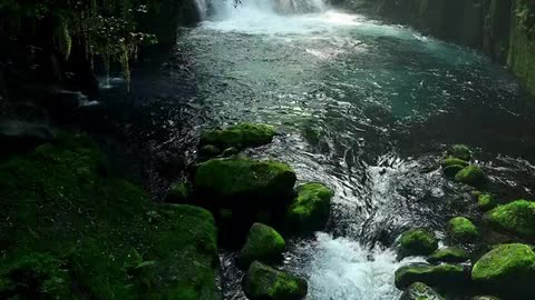 momento de adoraçao.mp4