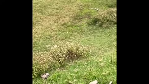 GOT RAPED ON A DATE TO SAGADA LAKE