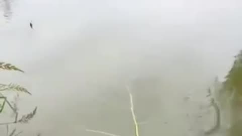 Shocking! Fishing with Bamboo Twig Yields INSANE Results!