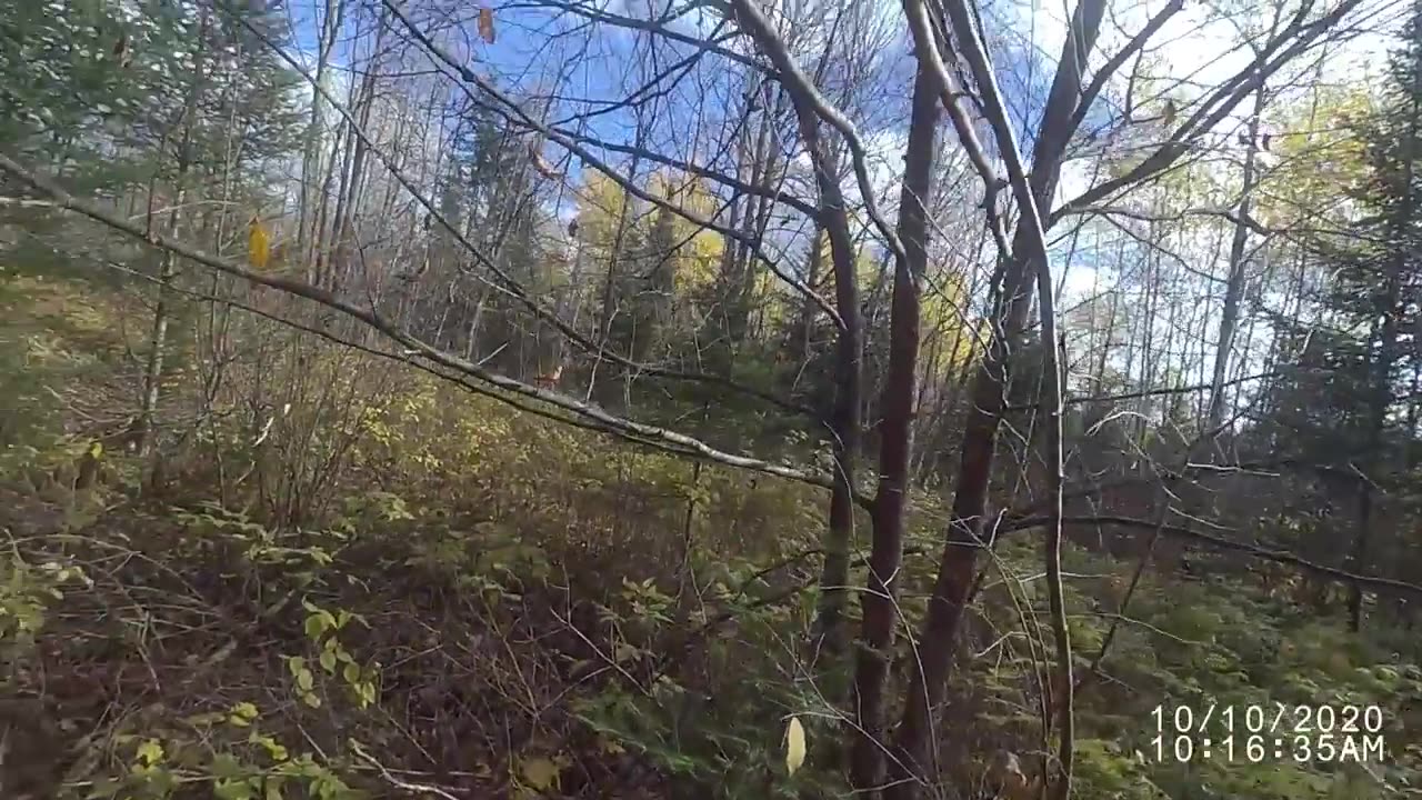 Grouse Hunt Wisconsin 2020 Episode 2