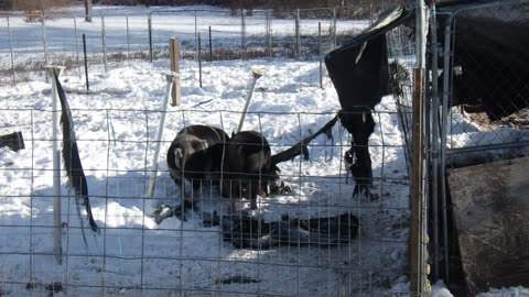 The kids love making more work for me.