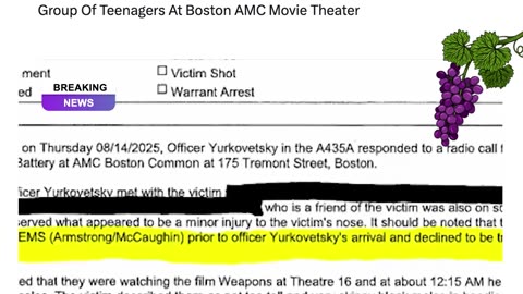 Harvard Researcher Thiago Rentz Says He Was Attacked By Teenagers At Boston AMC Movie Theater