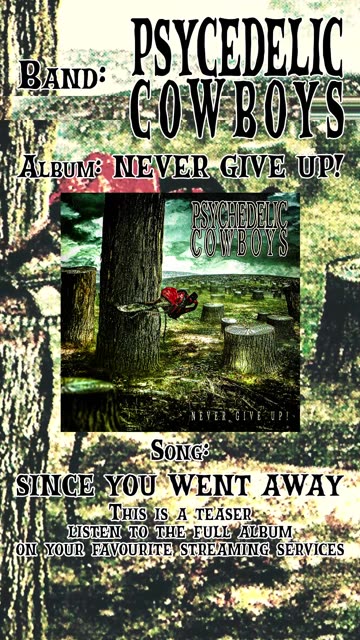 Psychedelic Cowboys - Since You Went Away // TEASER