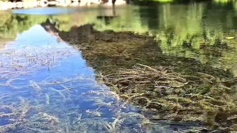 Have you ever eaten Tom and Jerry's steak? 🥩 #asmr #cooking #meat