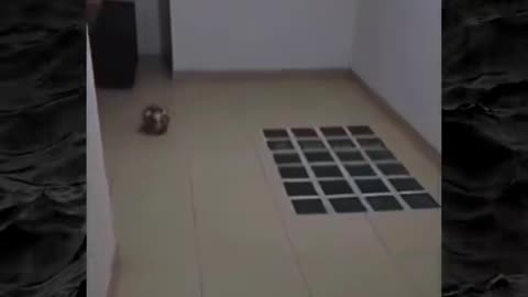 😨👻 You Won't Believe What They Caught on Camera! Paranormal | TheHauntingHour