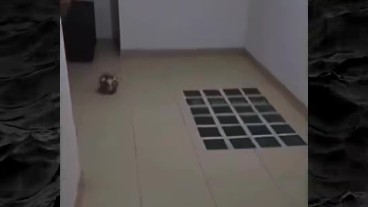 😨👻 You Won't Believe What They Caught on Camera! Paranormal | TheHauntingHour