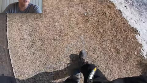 Robert Hynes and the Question of whether Monty is a Mess