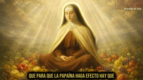 SANTA TERESA CONFIRMÓ: LAS 8 FRUTAS QUE DIOS PERMITE PARA SANAR TU DEBILIDAD CORPORAL!