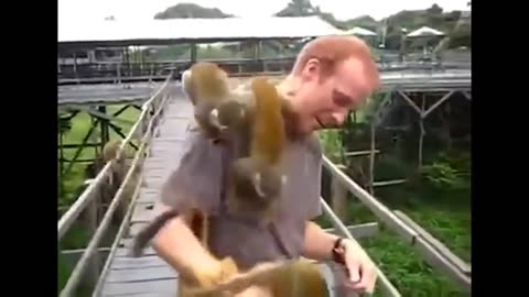 Crazy mokeys😜😂🤩