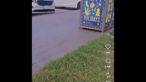 Bondi shooting footage