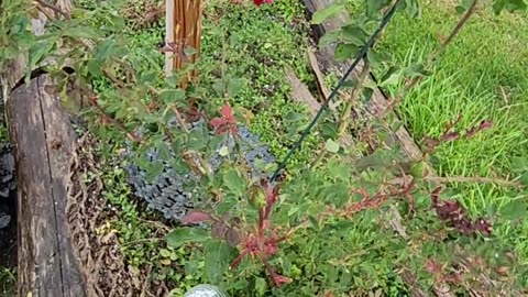 Beautiful clear and Sunny skies in West Michigan's wastelands