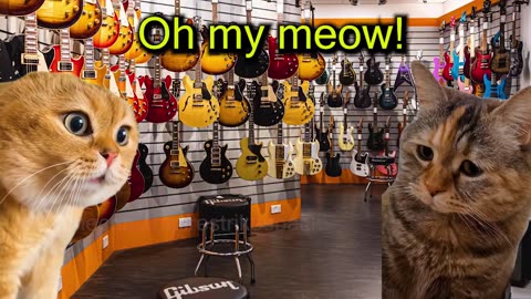 When Cats want to Start a Band with their Neighbor (featuring Ha hee cat) (Ep.67)