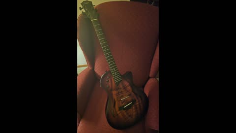 Taylor electric guitar review.