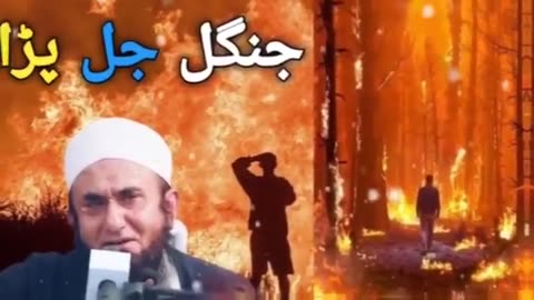 Maulana Tariq Jameel Bayan/emotional Bayan