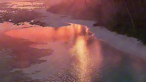 🙏✨ Oración Inspirada en las Lecturas de Hoy ✨🙏