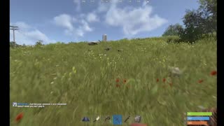 Rust Wipe Day