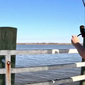 Monster Black Drum Caught From Shore - Insane Fight