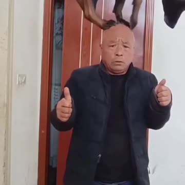 “Balancing Act: A Dog’s Incredible Feat on a Man’s Head!”