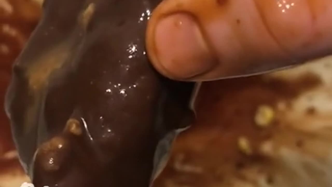 I LOVE EATING POOP.