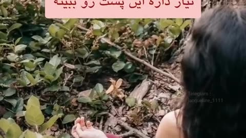 جلال محمدزاده - درمان چاکرا به زبان ساده