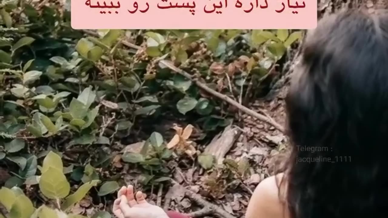 جلال محمدزاده - درمان چاکرا به زبان ساده