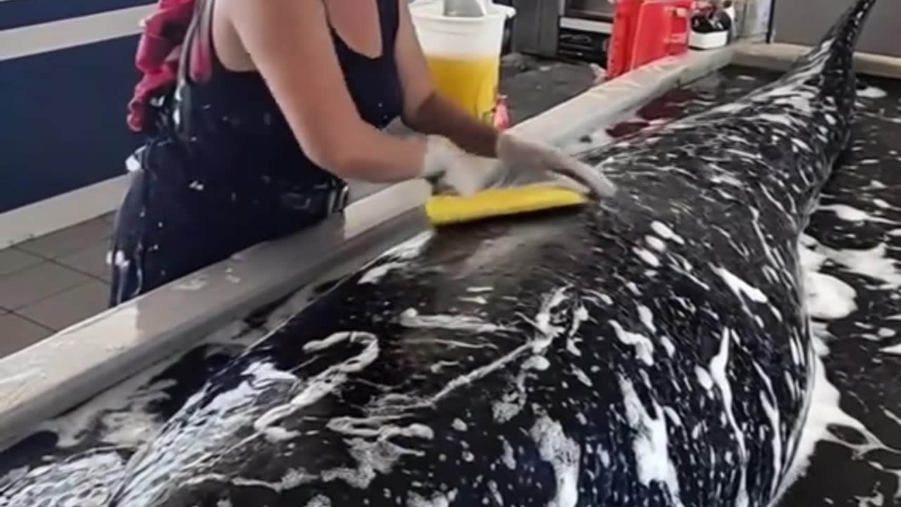 Full-Service Whale Wash: Now Available at Your Local Gas Station!