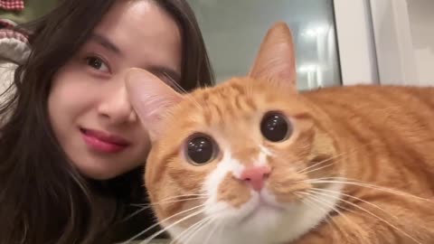 Sweet girl sweet cat