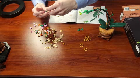 Building the LEGO Mini Orchid