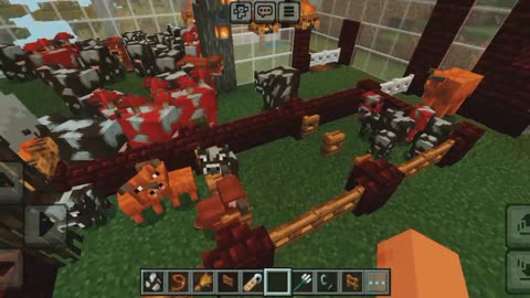 New cow baby cow farm in Minecraft Game