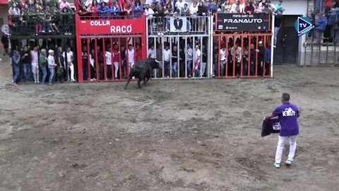 1 TORO TARDE 9oct RASCATRIPAS ganaderia GERARDO ORTEGA N 9 - FESTES DEL ROSER 2025