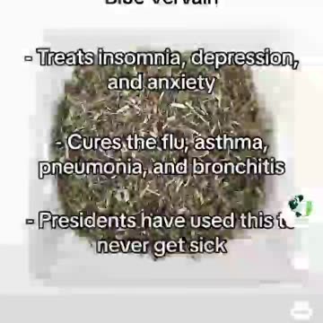 THEY DON 'T WANT YOU TO KNOW THIS