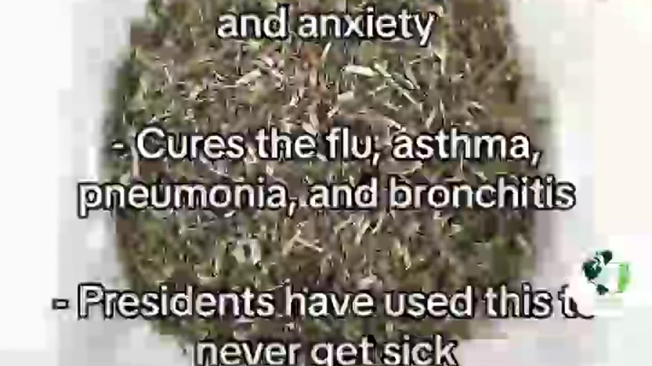 THEY DON 'T WANT YOU TO KNOW THIS