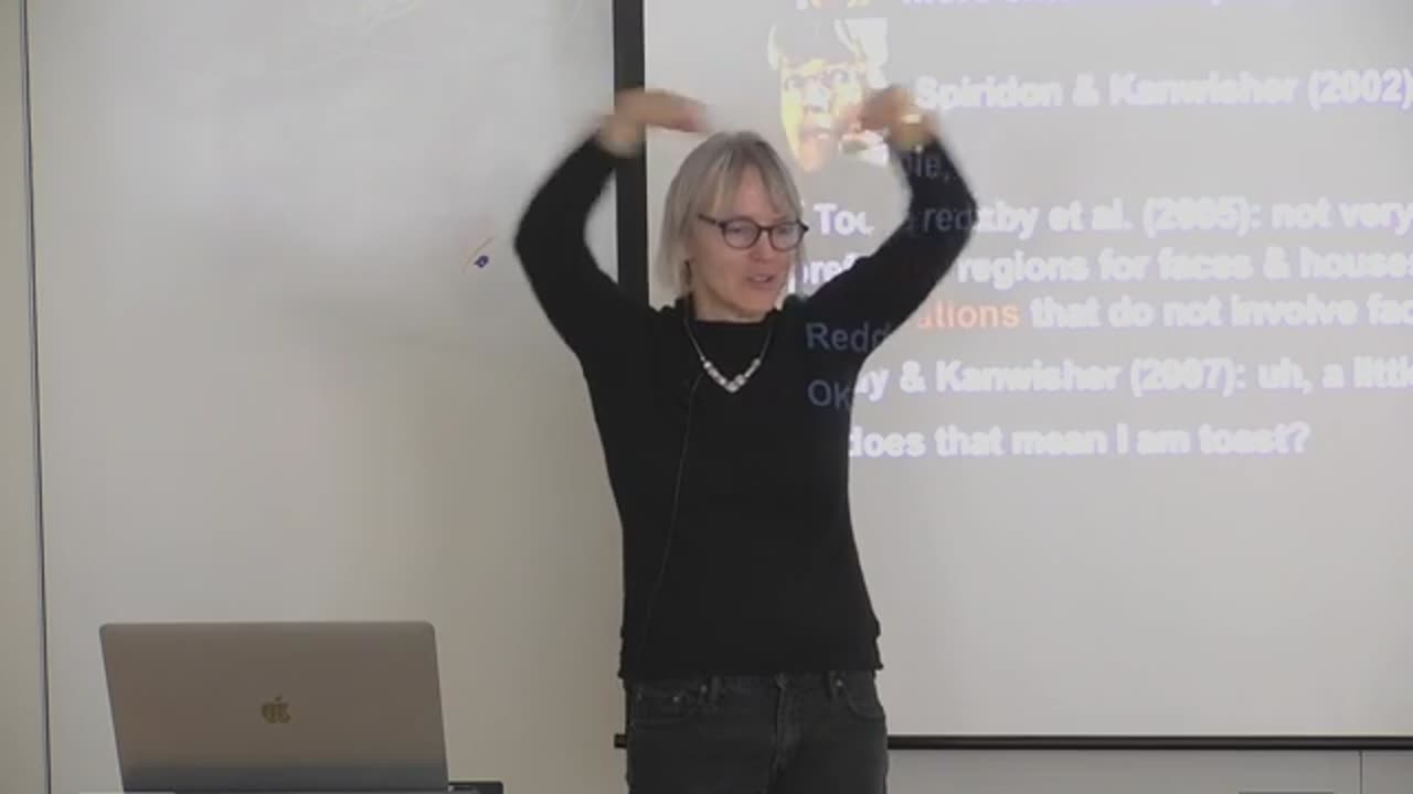 7. Category Selectivity, Controversies, and MVPA