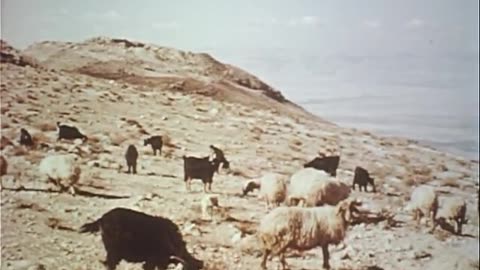 Middle East - Middle East - gov.archives.arc.651910
