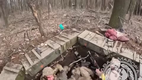 TOP 5 Moments with Svaimi