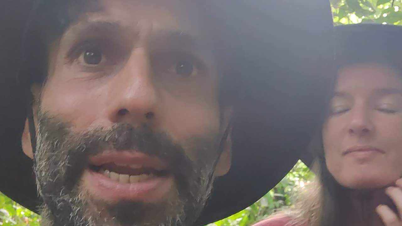 water from the jungle 1