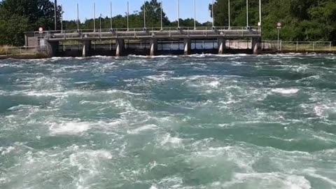 😊 207 “TU CONFIANZA CREA MILAGROS” Salmo 56:3 😊