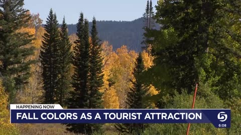Cache Valley Visitors Bureau hopes to draw people with fall colors, festivals