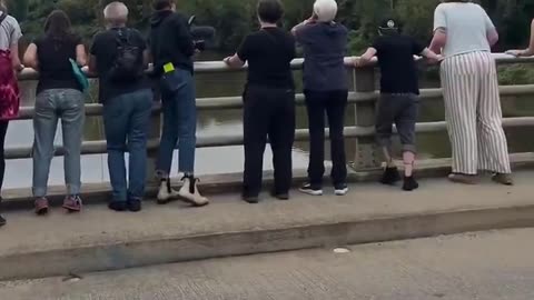 Liberals are now SCREAMING at a river in Asheville, NC..