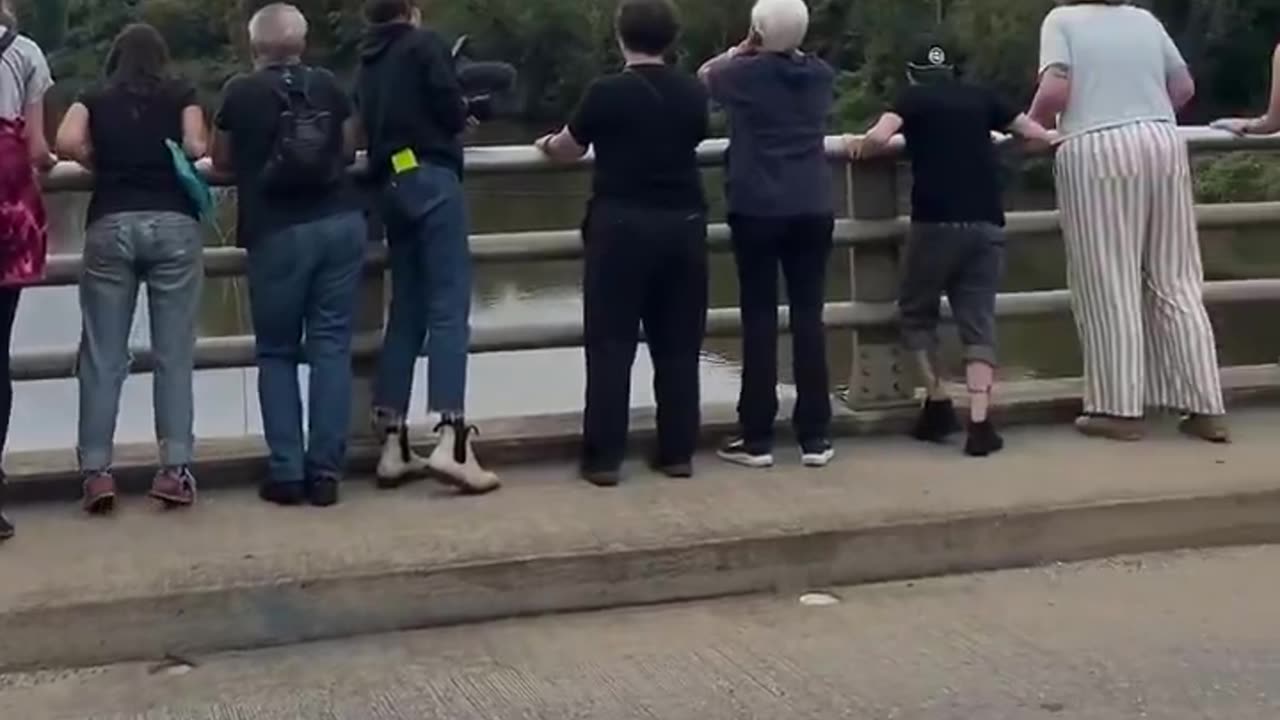Liberals are now SCREAMING at a river in Asheville, NC..