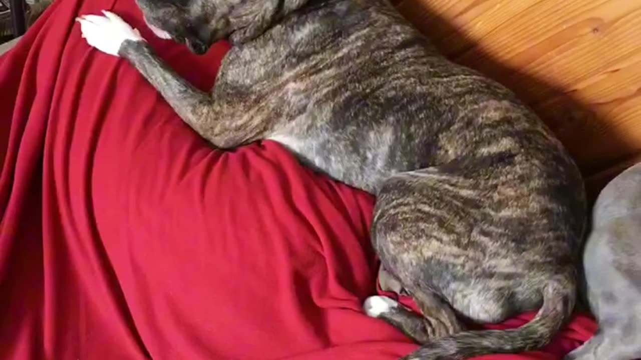 Barely move
