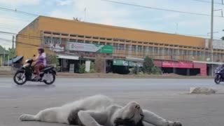 😂💪 Unlimited Trust Level: This Is Insane! | FunFM
