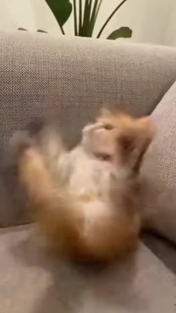 She Was 5 Swipes Away from Happiness | Emotional Story