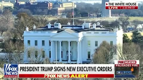 Trump-Putin Meeting Proposed; Zelenskyy Ready for Peace Deal