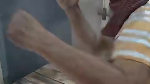 The DayZ Cannibal Life