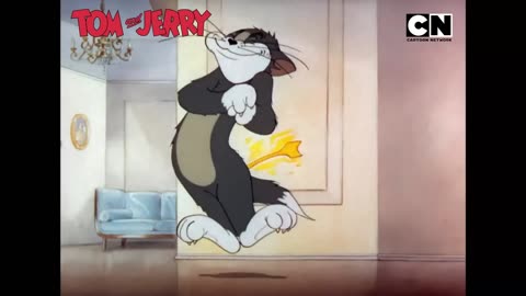 Funny Tom and Jerry_ Drunken Cat-O-tales!