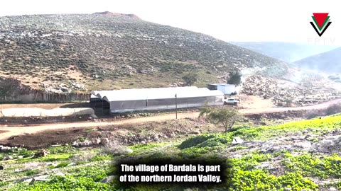 Continuous Settler Herd Attacks on Bardala Village