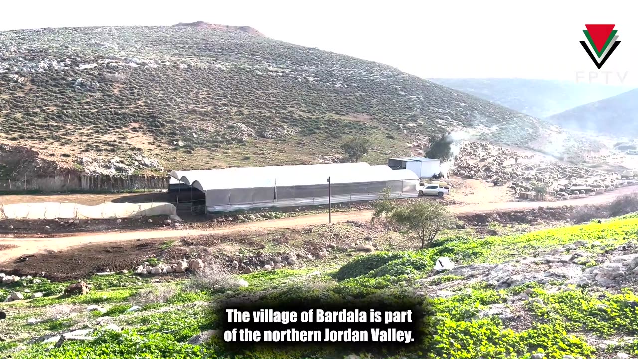 Continuous Settler Herd Attacks on Bardala Village