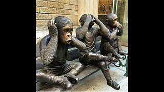 MONKEY SEE MONKEY DOO, BUT WHEN YOUR MONKEY IS A LYING SCAMMER WILL THEY GET CAUGHT 2, JUMP INN